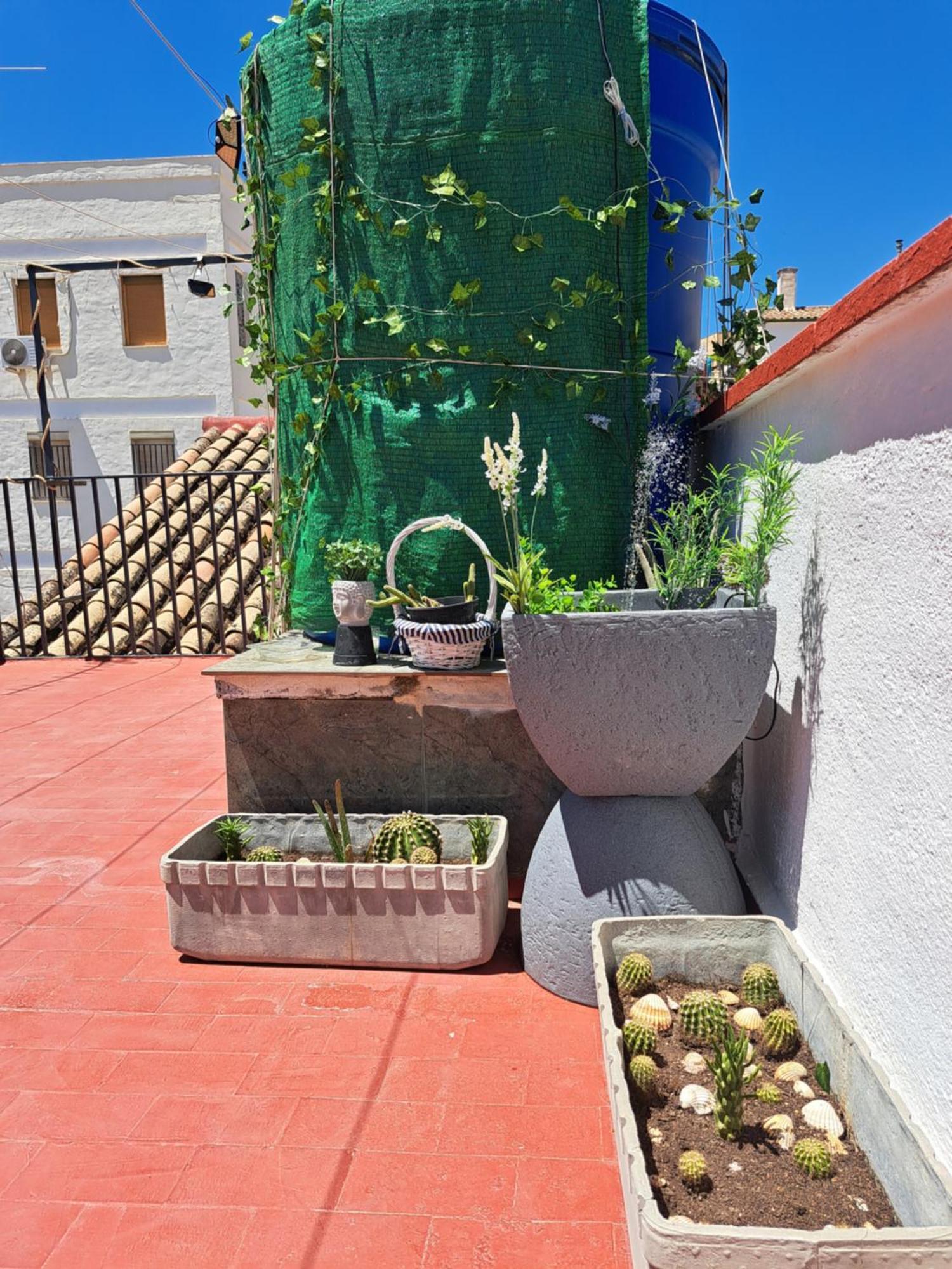 Ferienwohnung Casa Paloma Jaén Exterior foto